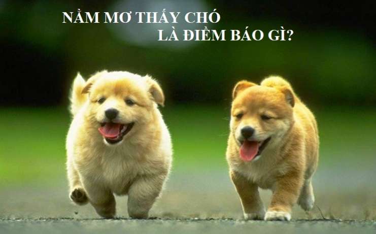 3 trò chơi dễ thắng nhất trong các game cấp độ Win777 - Win777