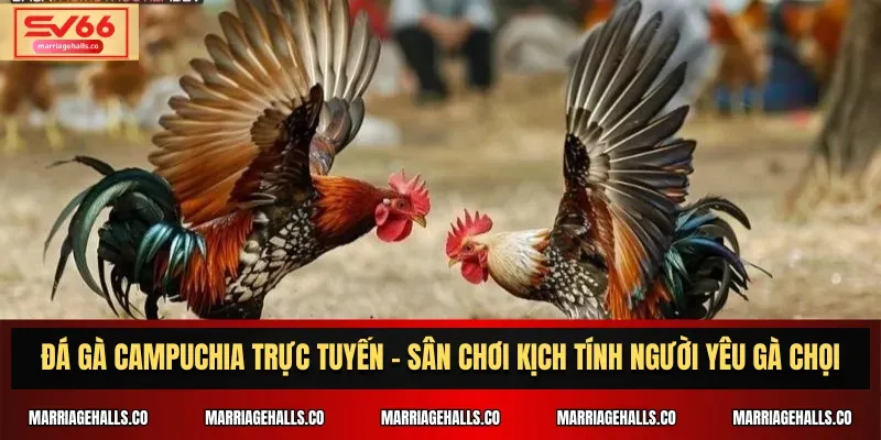 Thông tin về kết quả các trận đấu của đội tuyển bóng đá quốc gia Pháp tại giải 009Bet - 009Bet