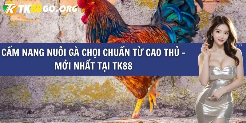 Nền tảng trò chơi dựa trên phần thưởng thế hệ tiếp theo Jun 88 - Jun 88