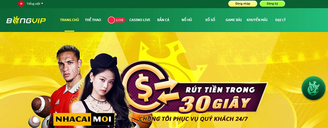 Những giải đấu nào cung cấp tỷ lệ cá cược bóng đá cấp độ Bet66? - Bet66