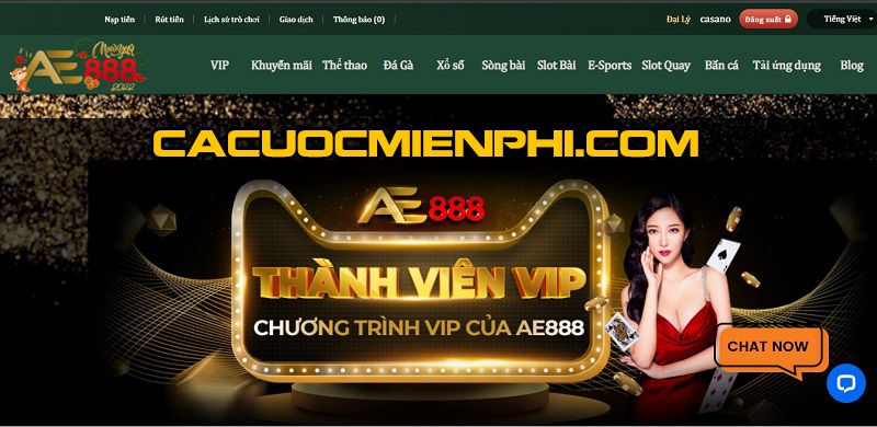 Giao dịch gửi và đổi tiền Hl8 - Hl8