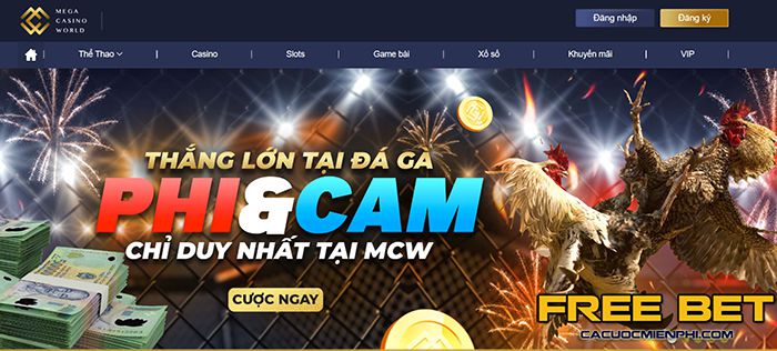 Độ tuổi tối thiểu để tham gia Suncity là bao nhiêu? - Suncity