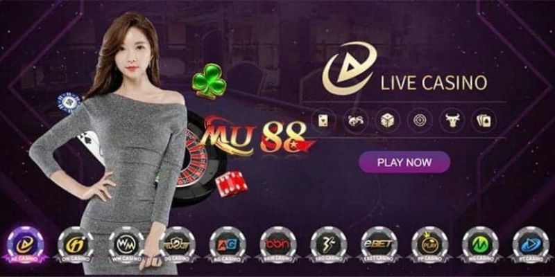 Tài nguyên trang web Sbet68 - Sbet68