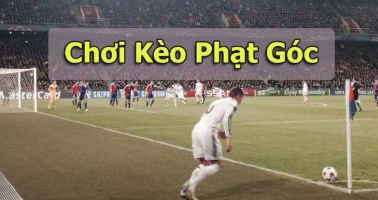 Dịch vụ đặc biệt khi đến khách sạn We88 | We88 - We88