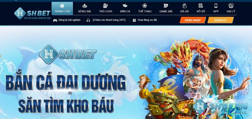 Tổng quan về các hoạt động quảng bá của 88Nn trong năm 2026 - 88Nn