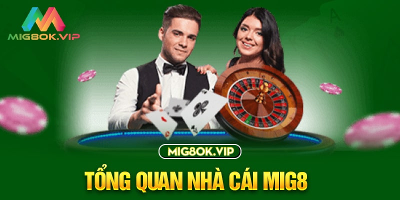 Trang web ví Fierce Bull mới được xếp hạng St666 - St666