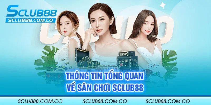 Sử dụng 365Vn để gửi và rút tiền rất tiện lợi - 365Vn