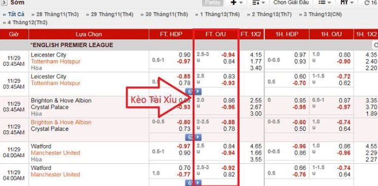 Bộ phận Dịch vụ Khách hàng của Cmd368 cam kết cung cấp dịch vụ khách hàng xuất sắc - Cmd368