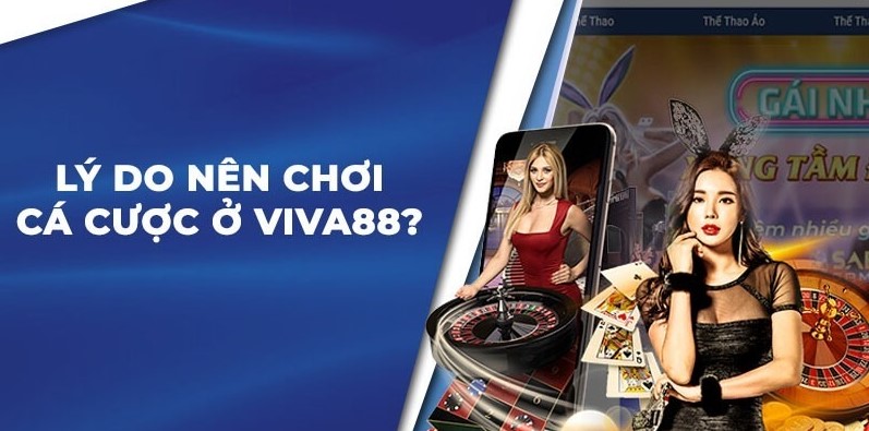 Vn138 cung cấp các trò chơi chất lượng cao - Vn138