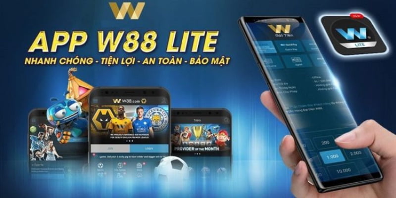 Hệ thống phần thưởng 365Vn hoạt động như thế nào? - 365Vn